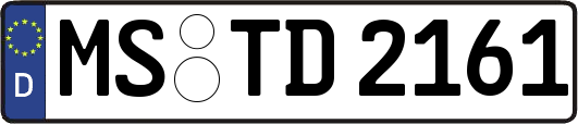 MS-TD2161