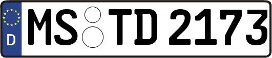 MS-TD2173