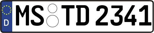 MS-TD2341