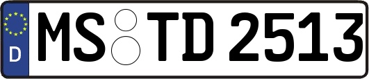 MS-TD2513