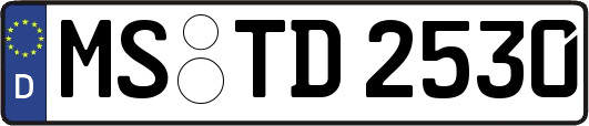 MS-TD2530