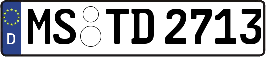 MS-TD2713