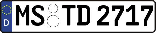 MS-TD2717