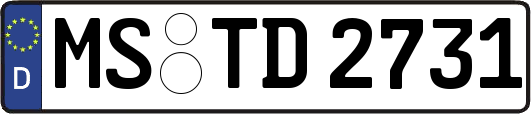 MS-TD2731