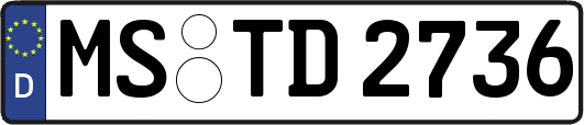 MS-TD2736