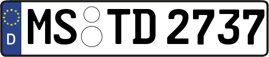 MS-TD2737