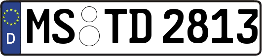 MS-TD2813