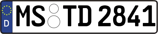 MS-TD2841