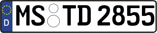 MS-TD2855