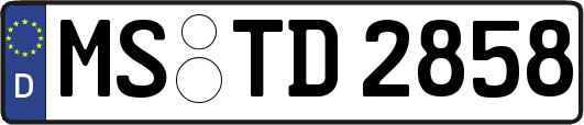 MS-TD2858