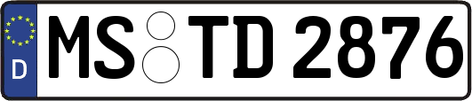 MS-TD2876