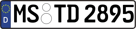 MS-TD2895