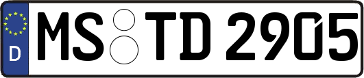 MS-TD2905
