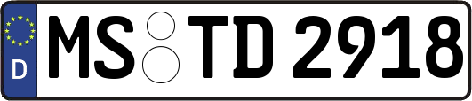 MS-TD2918
