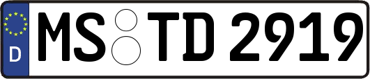 MS-TD2919
