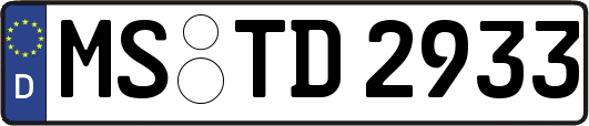 MS-TD2933