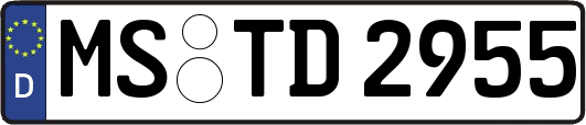 MS-TD2955