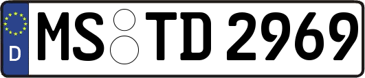 MS-TD2969