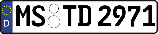 MS-TD2971