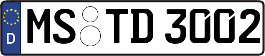 MS-TD3002