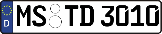 MS-TD3010