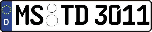 MS-TD3011