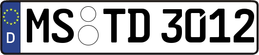 MS-TD3012