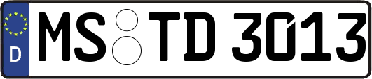 MS-TD3013