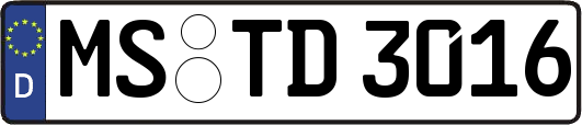 MS-TD3016