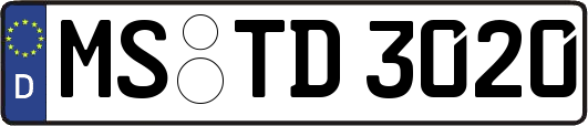 MS-TD3020