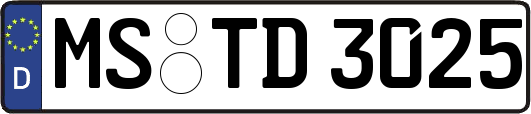 MS-TD3025