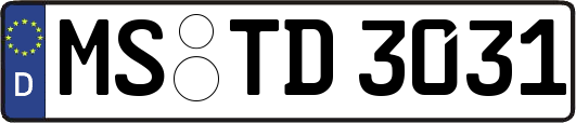 MS-TD3031