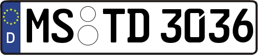 MS-TD3036