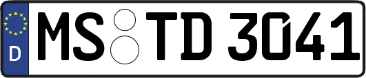 MS-TD3041
