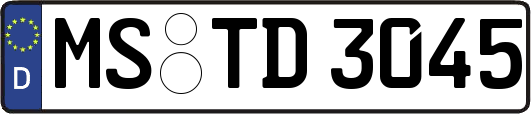 MS-TD3045