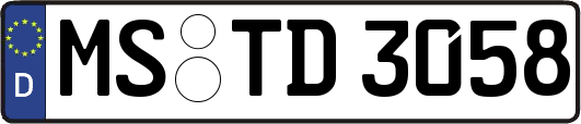 MS-TD3058