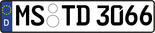 MS-TD3066