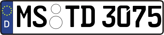 MS-TD3075