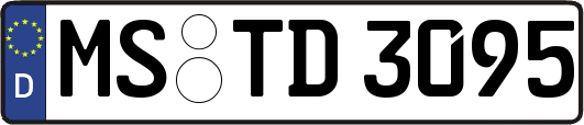 MS-TD3095