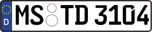MS-TD3104
