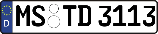 MS-TD3113