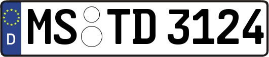 MS-TD3124
