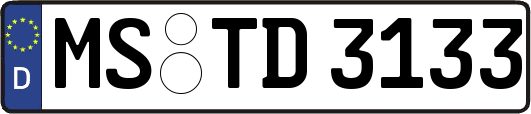 MS-TD3133