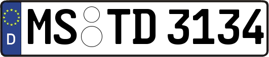 MS-TD3134
