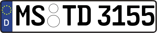 MS-TD3155