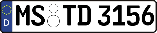 MS-TD3156