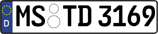 MS-TD3169