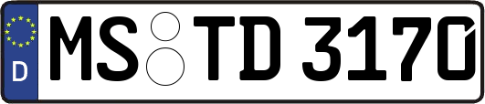 MS-TD3170