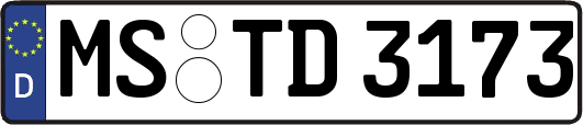 MS-TD3173