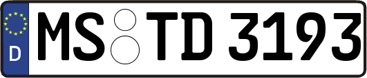 MS-TD3193